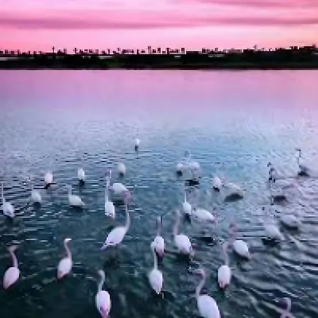 Marcello Σπίτι διακοπών